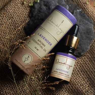https://cdn.shopify.com/s/files/1/1857/6931/products/GswAhtzoX1.jpg?v=1645266161